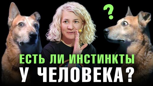 Почему у нас нет инстинктов? Материнского инстинкта не существует? | Софья Пантелеева. Ученые против мифов 20-2