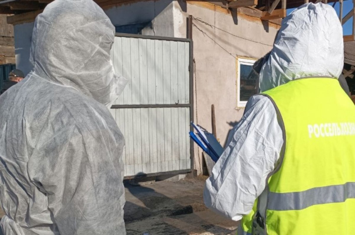    В Пермском крае установлен карантин в связи со вспышкой бешенства животных