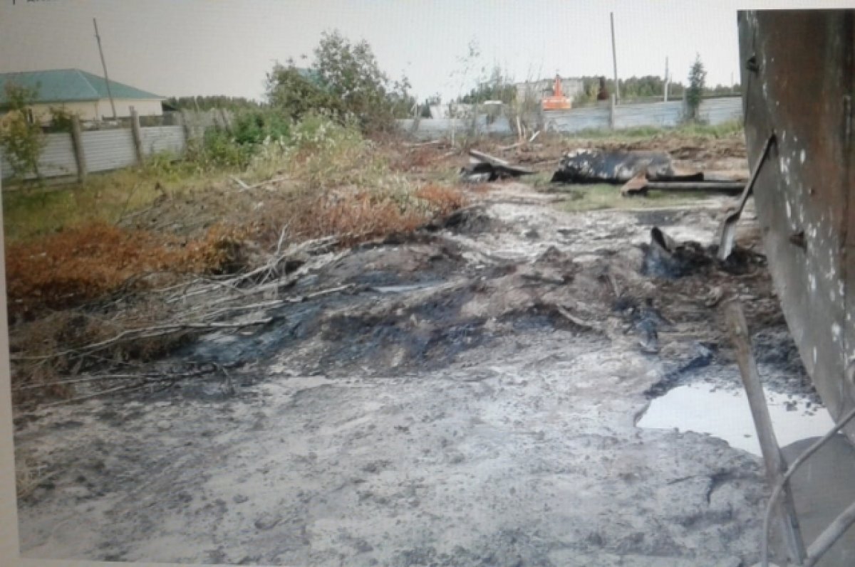    В Томской области гибнет скот и пропала рыба от разливов нефти