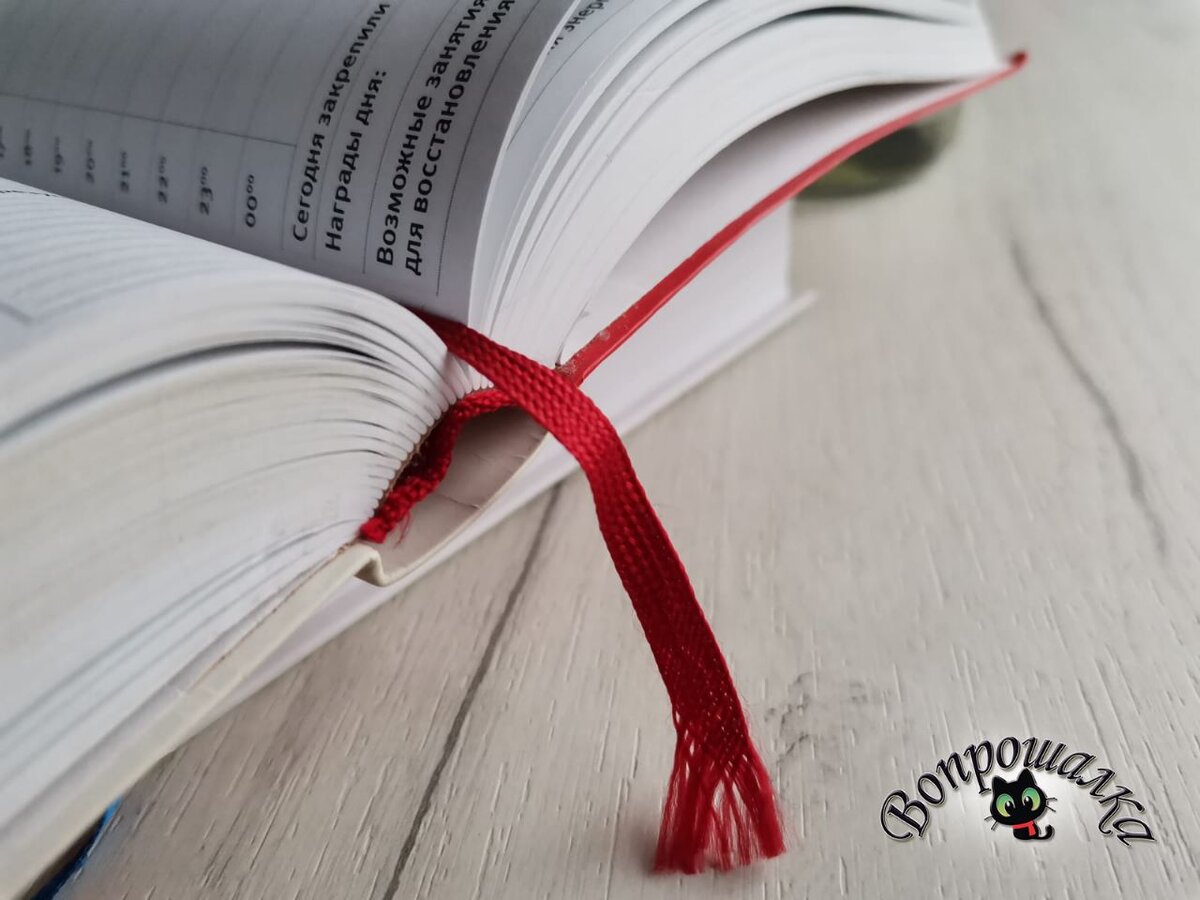 Закладка ляссе в ежедневнике