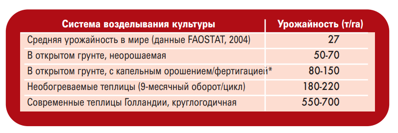 Выращивание томатов без полива по методу Казарина