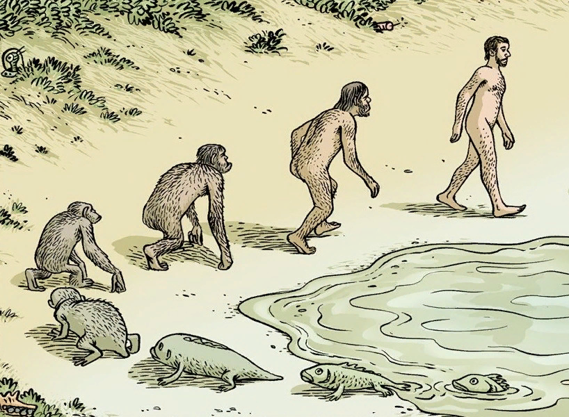 Жизнь на земле зародилась на суше. Теория эволюции Дарвина. Эволюция теории Чарлза Дарвина.