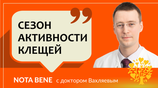 Клещи. Как защититься и что делать, если обнаружил на себе клеща?