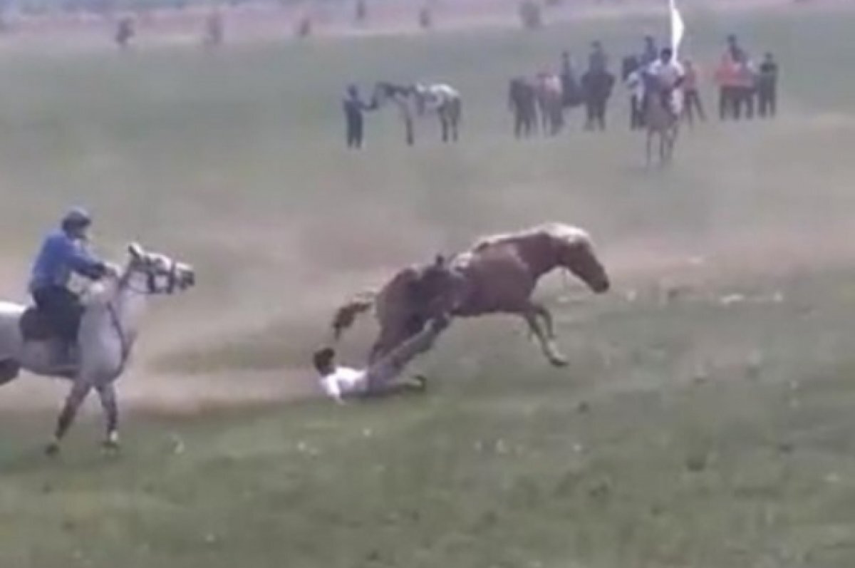    На сабантуе в Башкирии лошадь сбросила наездника и чуть не затоптала его