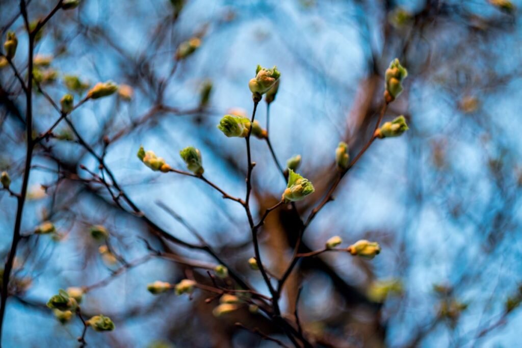    Фото: flickr.com Юлия Дидух