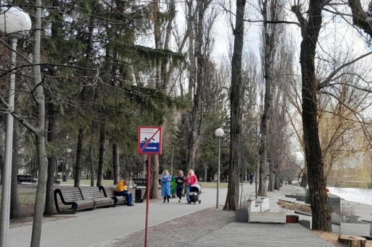    В Белгороде выпал «белый дождь»