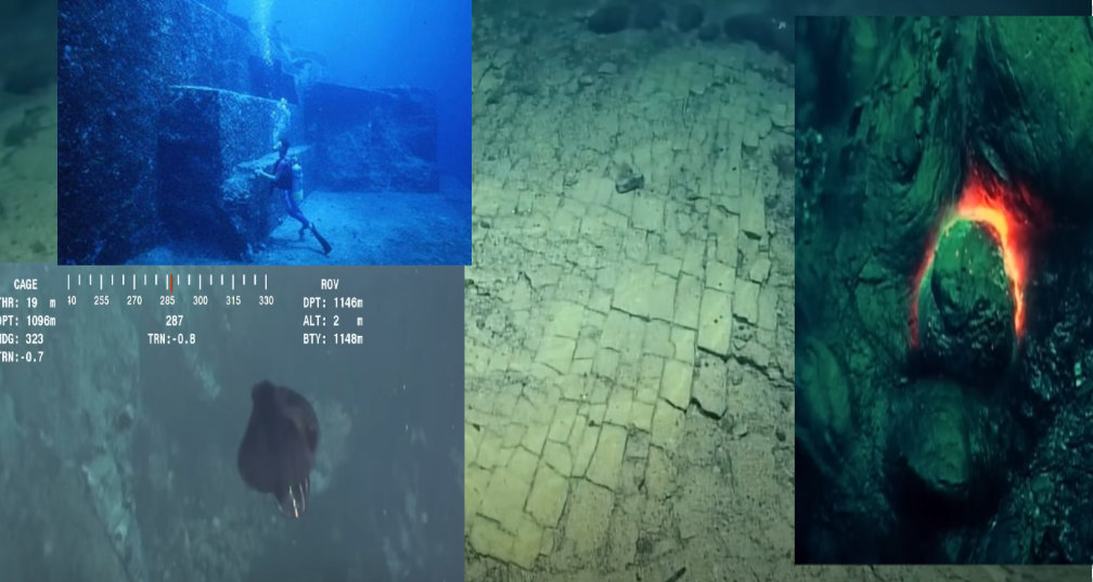 Изображение взято из открытого источника 