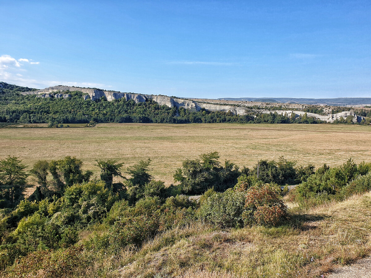 В полную длину - слева голова, справа хвост.