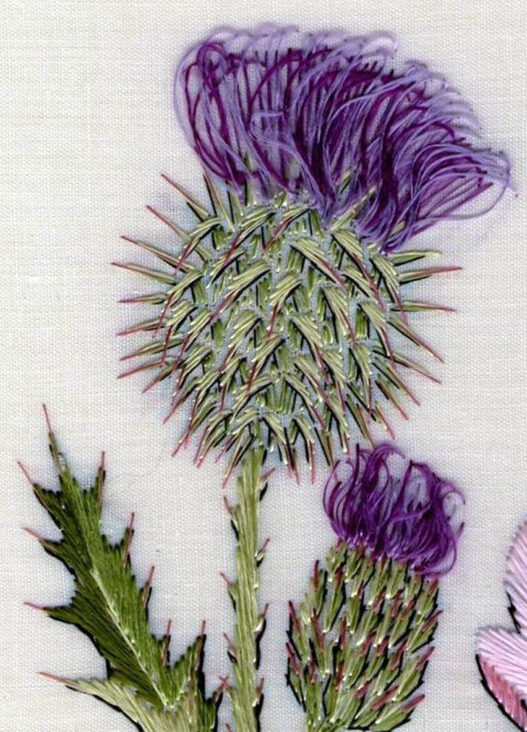 вышивка чертополох. риолис чертополох. вышивка чертополох. чертополох гладью. вышивка чертополох.