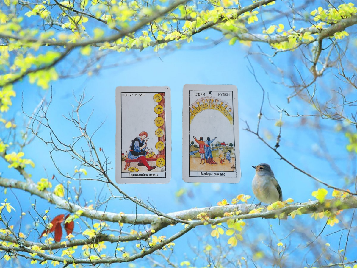 переходим к описанию