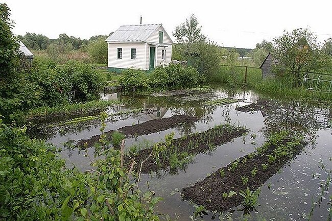 Дренаж, осушение участка под ключ