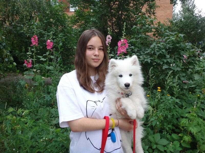 Юлия Дружкова - инструктор по дрессировке Дог-центра, выпускница РГАУ-МСХА (Академия им. К.А. Тимирязева) по специальности кинолог и ее собака ❄ самоед Чандра ❄