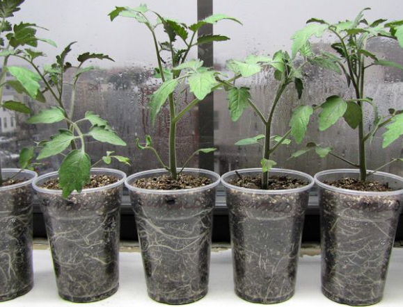 Листайте в право >