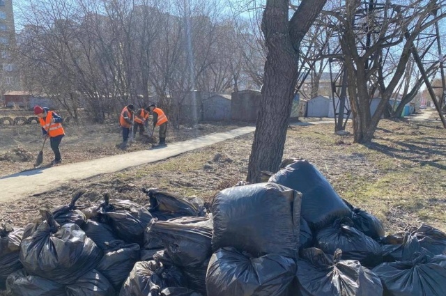    Фото: Пресс-служба администрации Омска