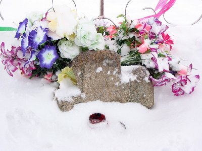    Каменный крест, «растущий» из-под земли Фото: А. Дыбовский, Глобус Белоруссии, общественное достояние