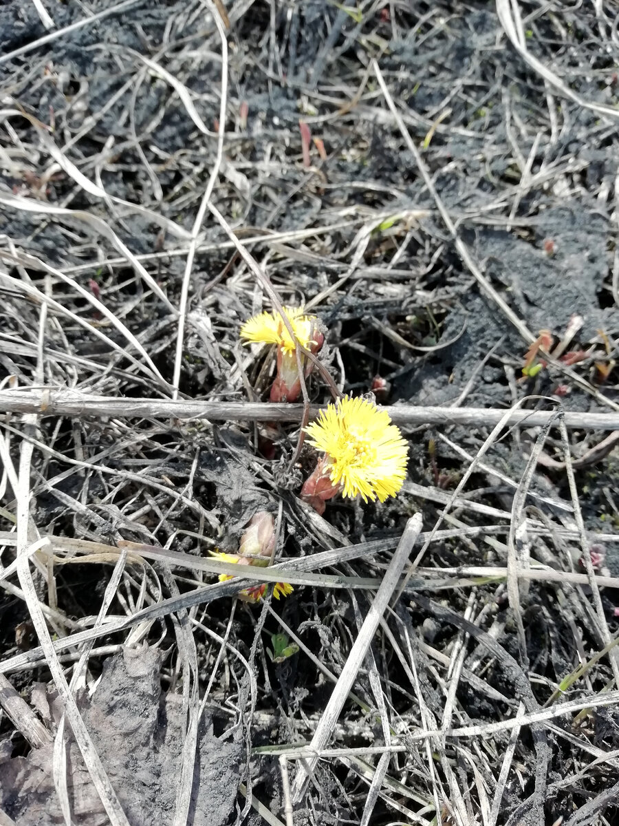 Обратно солнечная сторона)