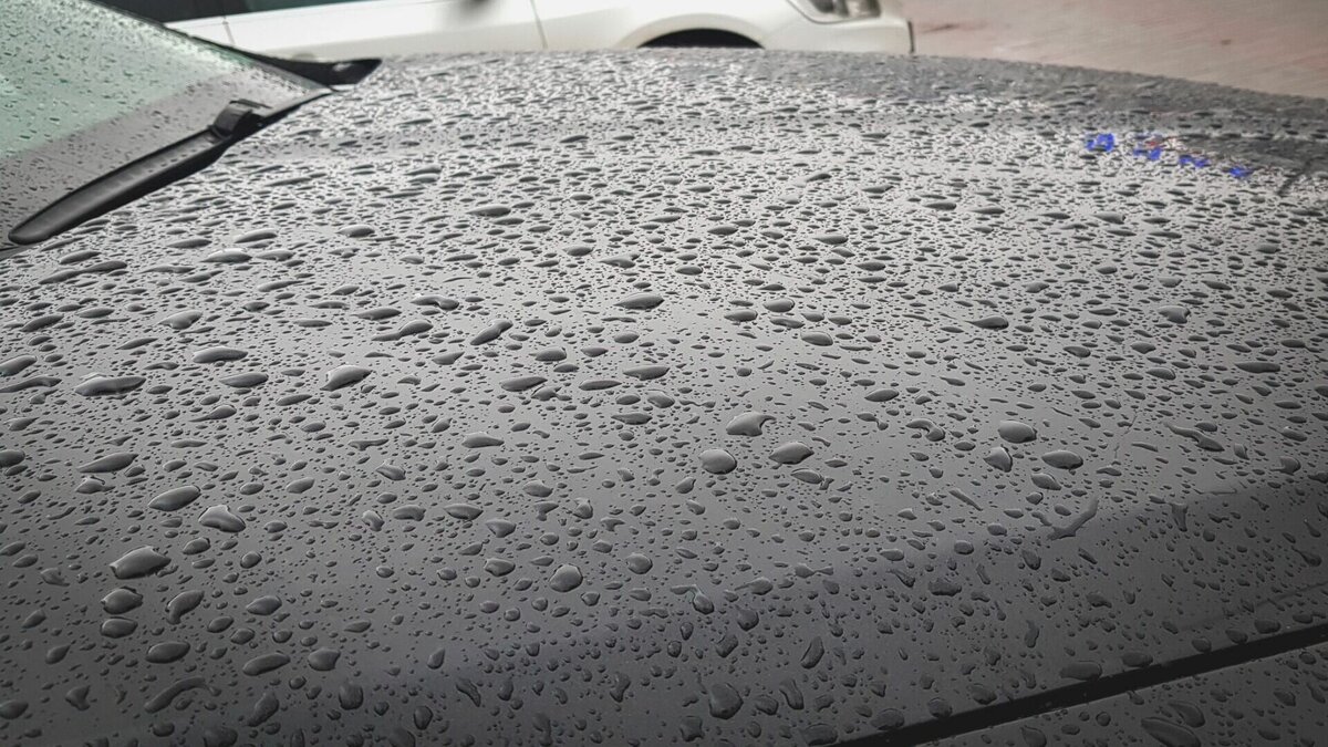     В Тюменской области сегодня вечером испортится погода. На регион обрушатся ливневые дожди и ветер с порывами до 16 метров секунду. Местами вероятны туманы. По данным Гидрометцентра, температура воздуха составит +7…+8.