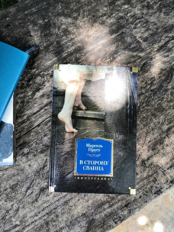 Первая книга из цикла "В поисках утраченного времени" Марселя Пруста в переводе Елены Баевской.