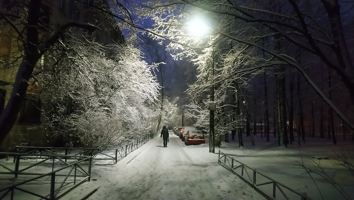вчера свежая трава виднелась