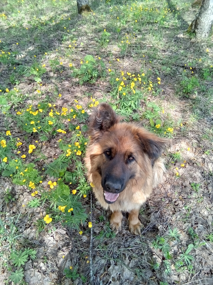 Фото автора. 