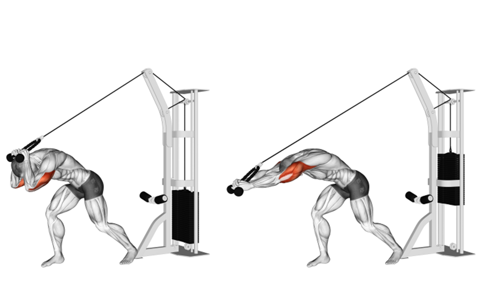 Тяга сиде. Верхний блок тренажер трицепс. Cable overhead Triceps Extension. Тяга верхнего блока на трицепс. Тяга блока вниз на трицепс.