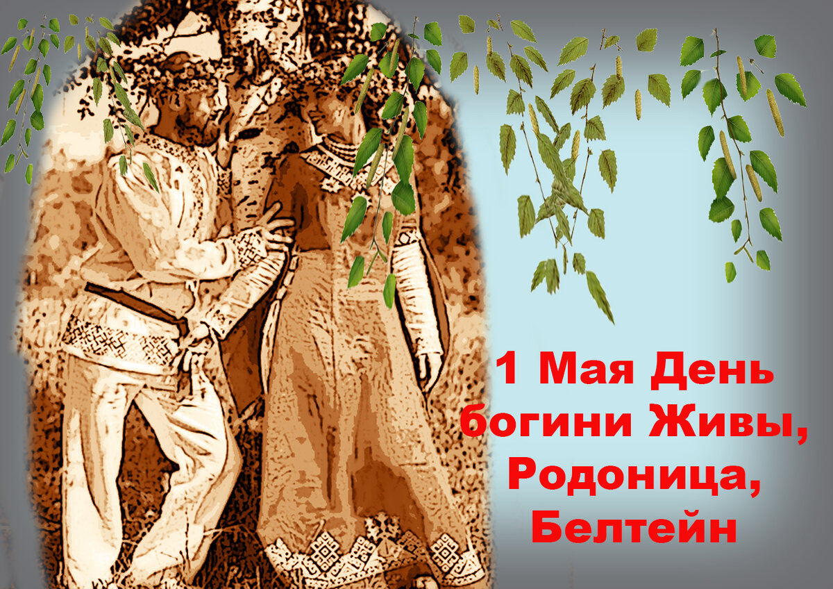 Живин день картинки