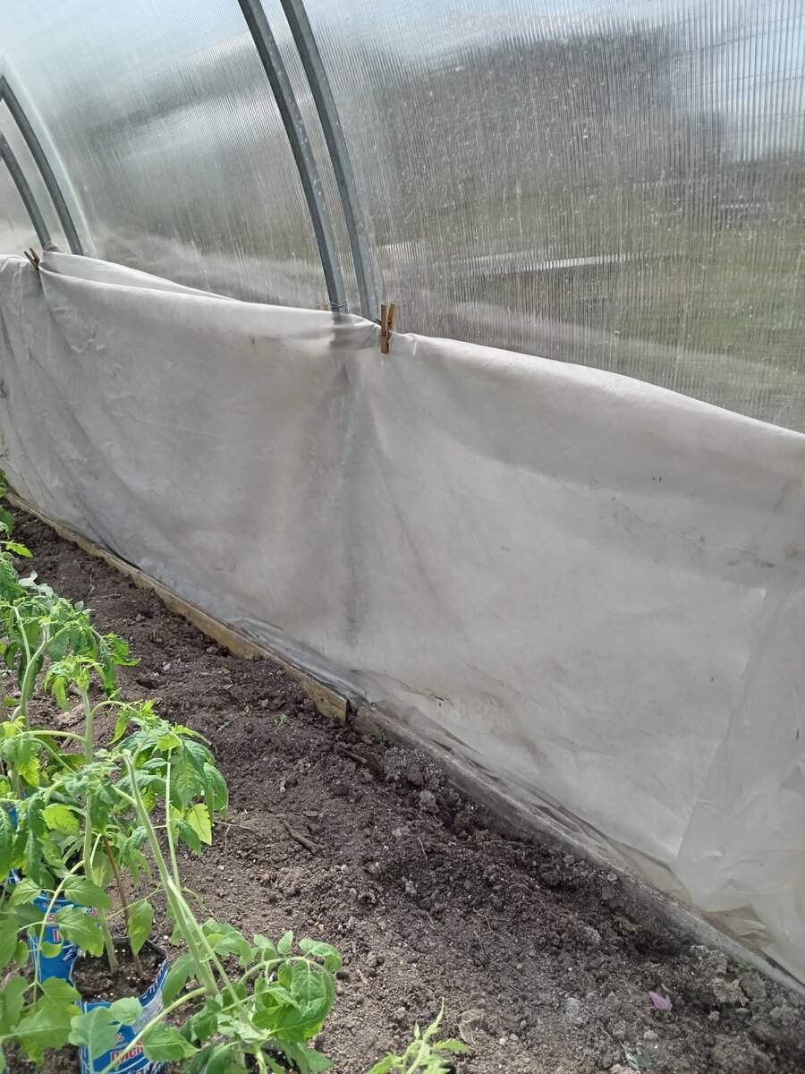 Пытаюсь утеплить стенку теплицы.