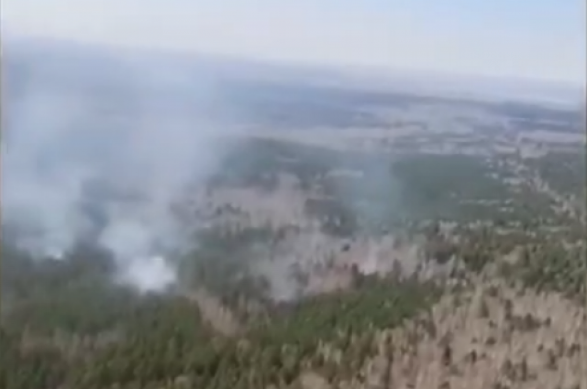 Пожар в мишкинском районе. Пожары в Курганской области. Природные пожары. Крупный пожар это Челябинск. Пожар в Каргино Мишкинский район.