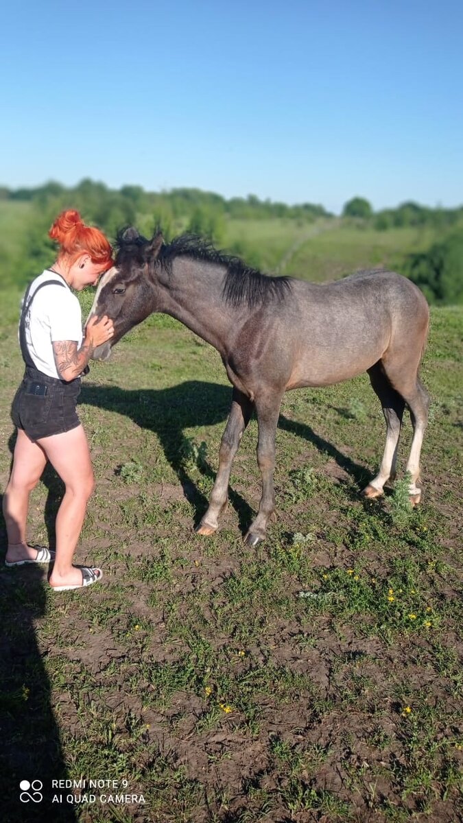 Ещё обнимашки с орловским Напором СИ (Прогноз - Неделя), 2021 г.р.. Заводчик - ООО «СельхозИнвест», владелец - Р.Х. Аипов

