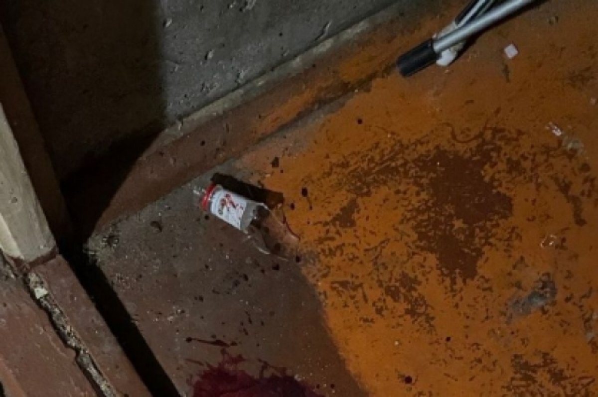    Жителя Пензы обвиняют в убийстве приятеля