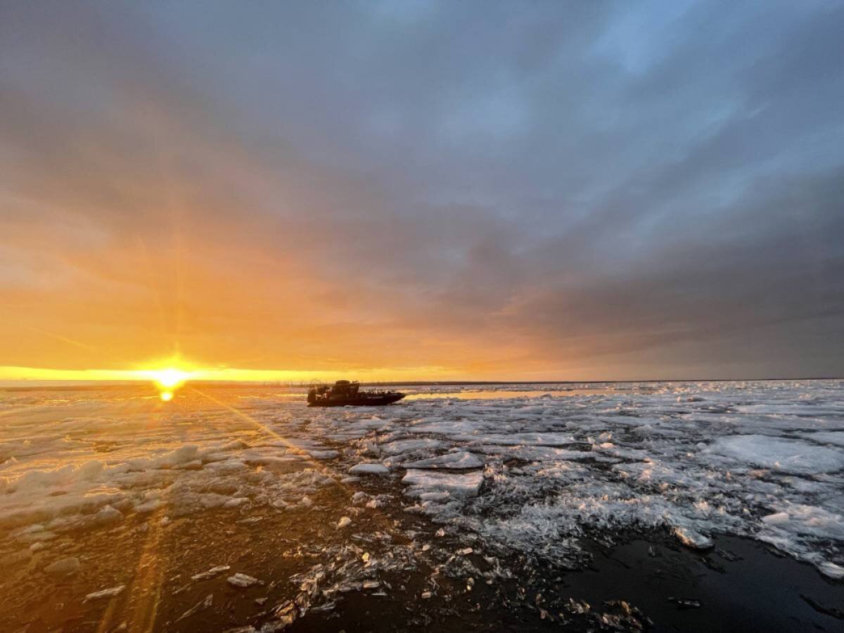 Ледовая обстановка карского моря