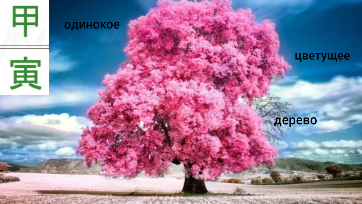 Источник фото https://kartinkof.club/