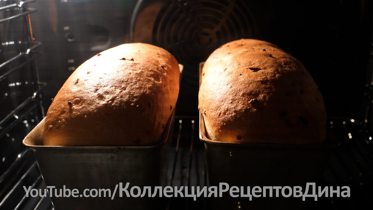 🍞Всего 1 ингредиент и хлеб превзойдет ваши ожидания! Один из самых любимых рецептов  хлеба! | Дина, Коллекция Рецептов | Дзен