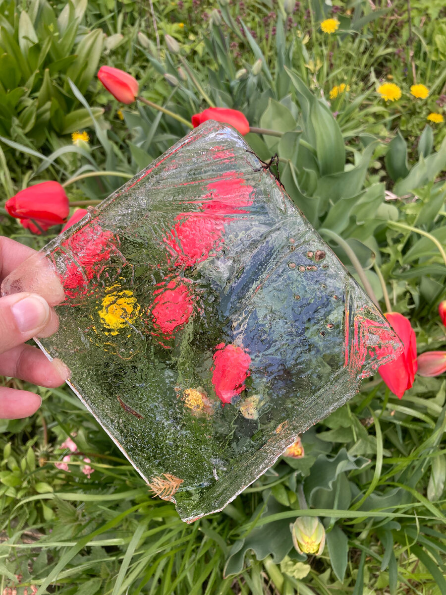 Это лед из ведра. У мамы в бочках лед был тоненькой корочкой, а у меня пластинка миллиметра три - четыре толщиной.