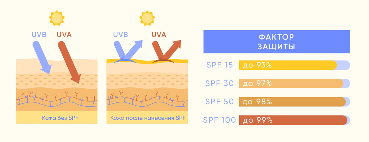 Как выбрать правильный солнцезащитный крем: фильтры, исследования и факторы  SPF | ICON SKIN. Блог о красоте | Дзен