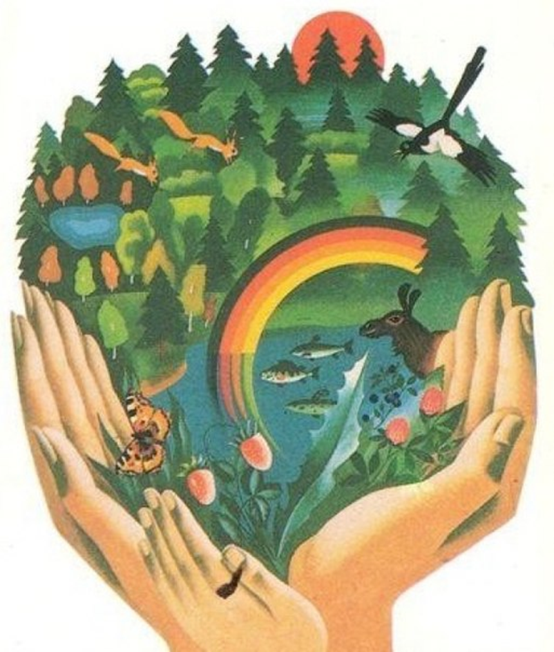 Бережное отношение к лесу. Берегите природу. Berigite prirodu. Плакат о сохранении природы. Плакат на тему защита природы.