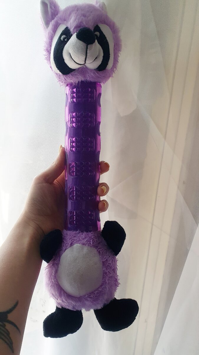 Вот такой милый енот) 