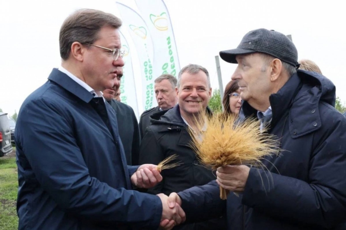    В Самарской области зарегистрирован новый сорт твердой озимой пшеницы