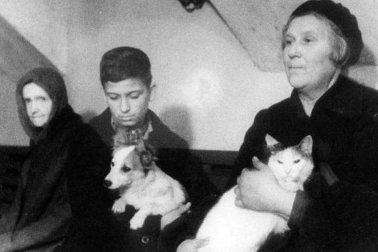      Архивное фото