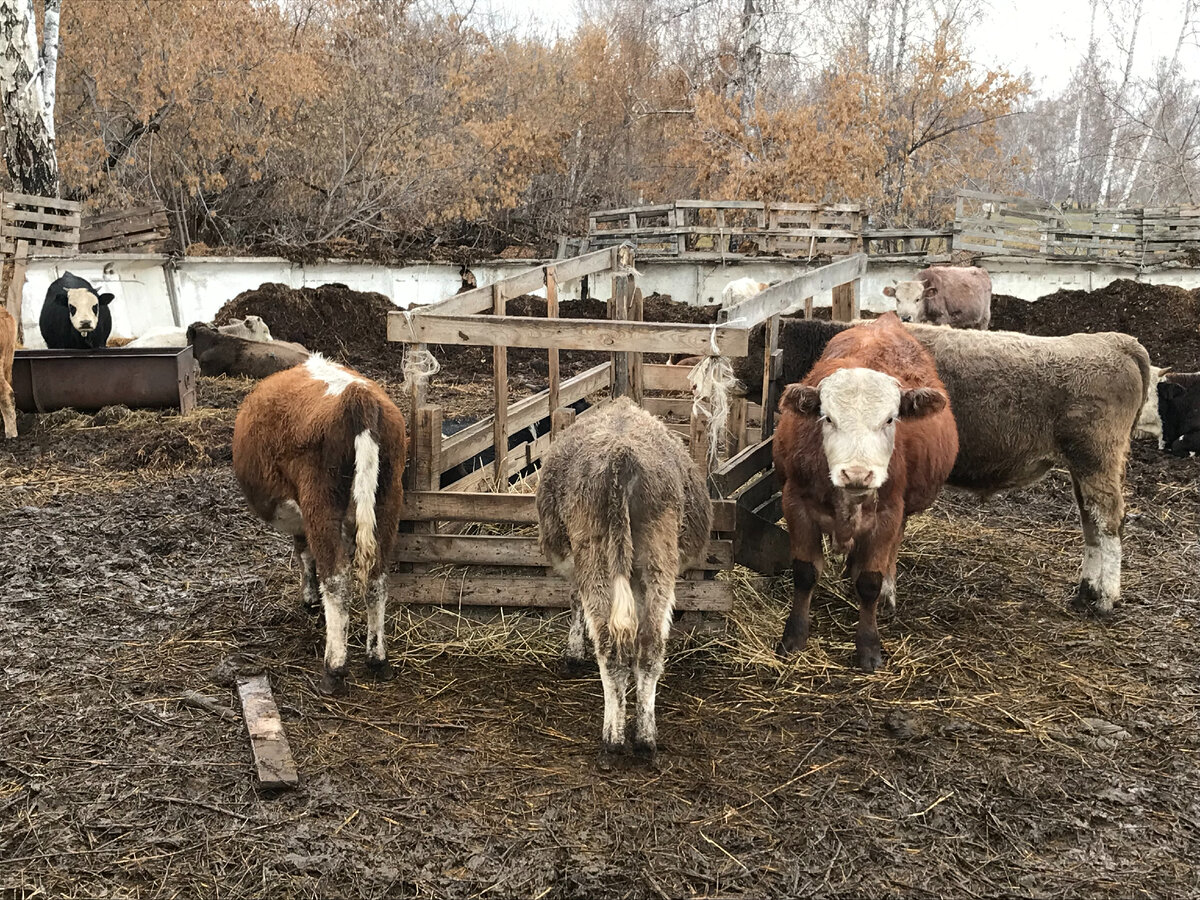 Фото лета 2022 года.