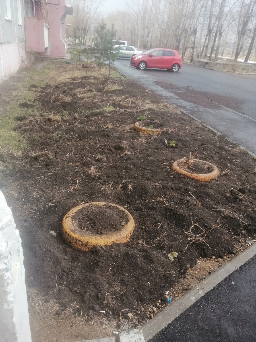 Землю нам привезла сторонняя управляющая организация. Скоро тут будут цветочки🤗