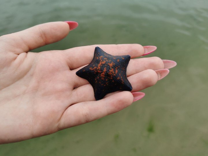 ФОТО: АНАСТАСИЯ ДУДАЛОВА 