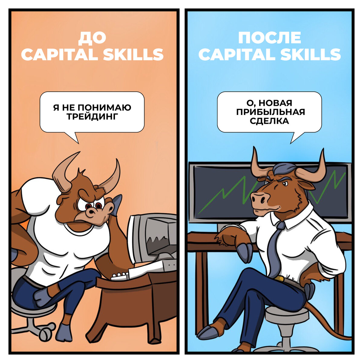 Capital skills