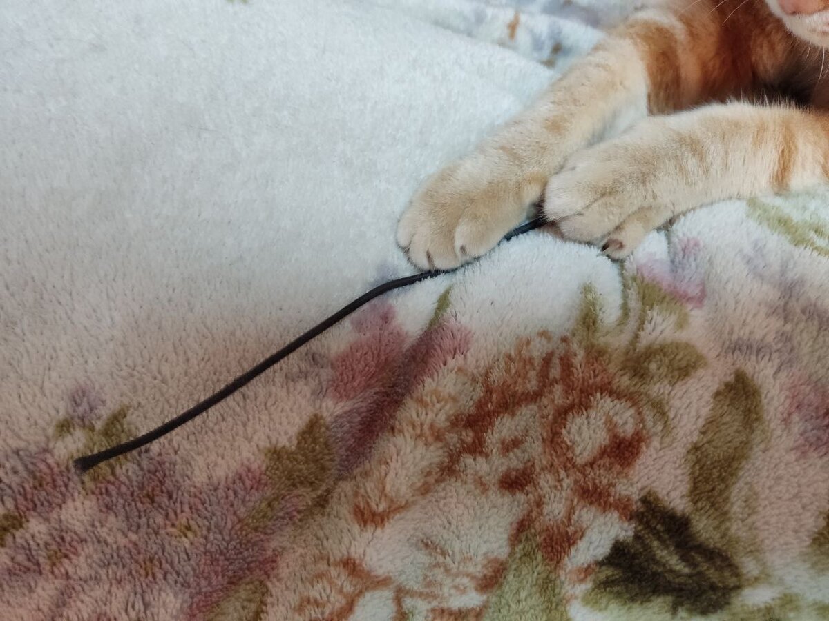 Новая черная веревочка