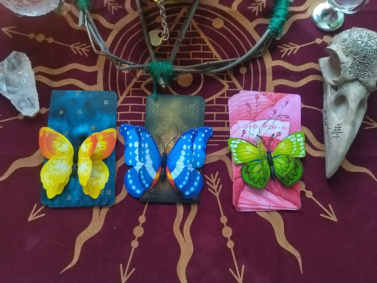 Фото автора.