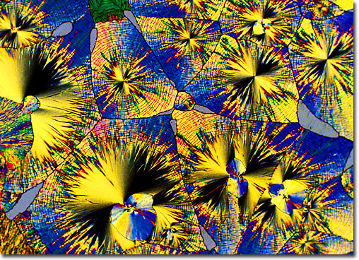 Ниацин (никотинамид, вит. В3). Источник: https://micro.magnet.fsu.edu/vitamins/pages/niacin.html