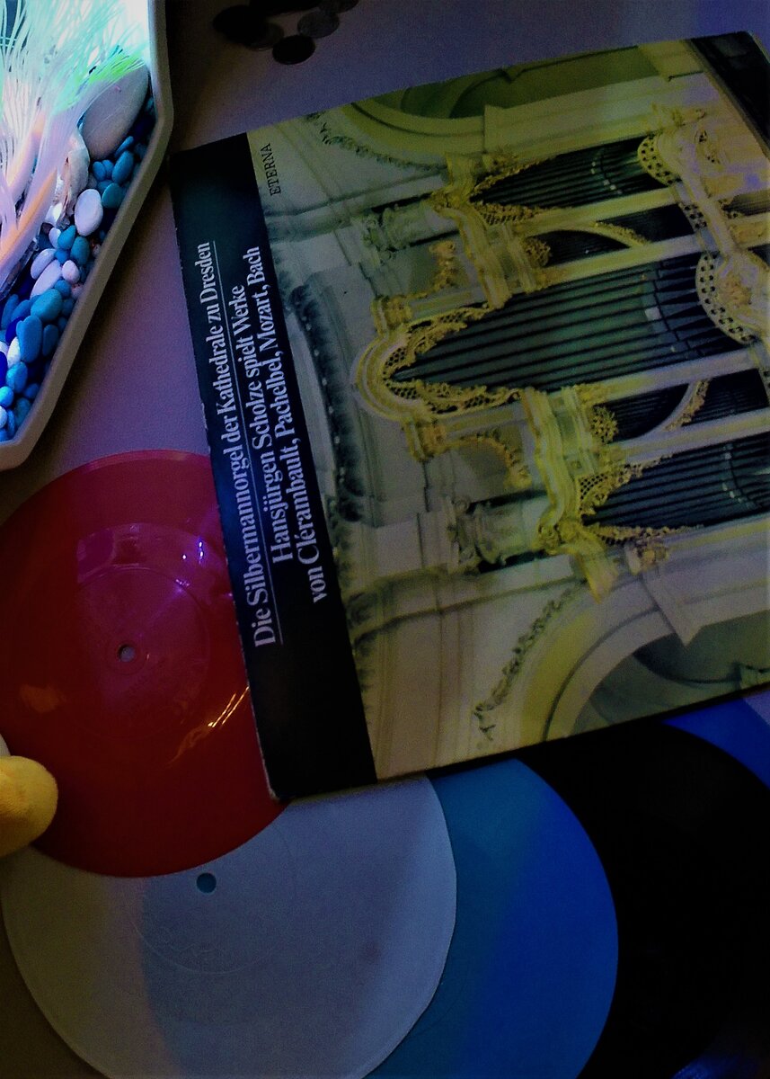 Винил Die Silbermannordel der Kathedrale zu Dresden 