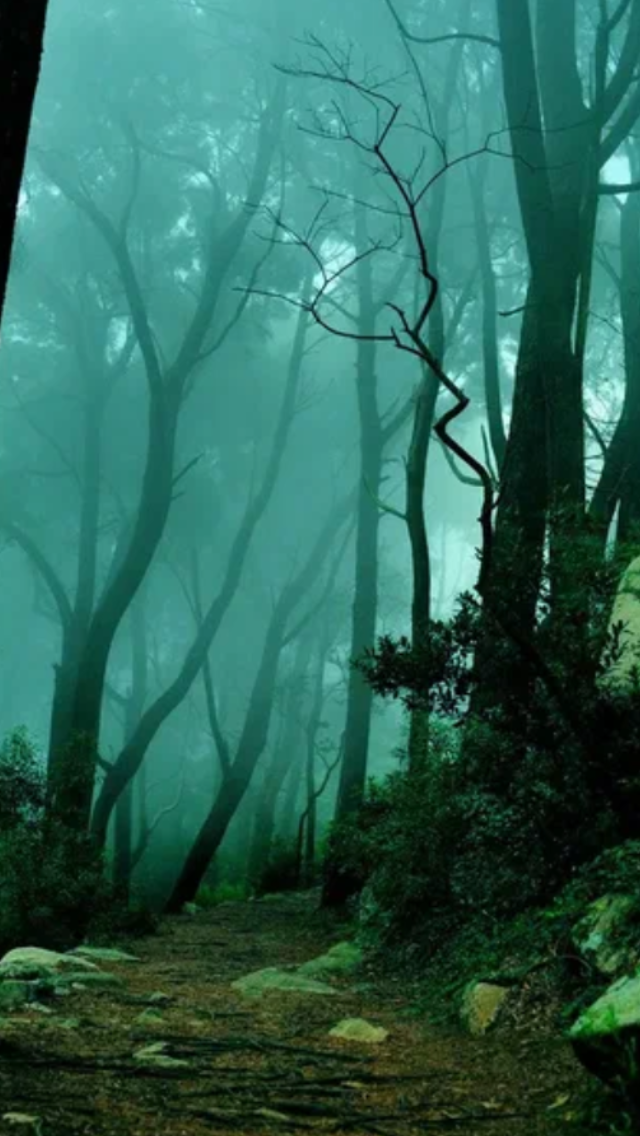 Фото из свободного доступа.