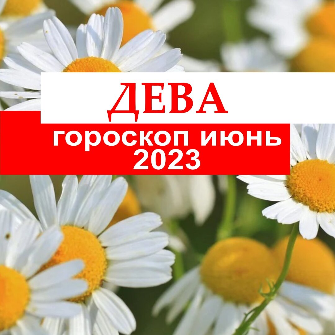 Дева. Интересная жизнь в июне 2023 года | Гороскопы от Астролога | Дзен