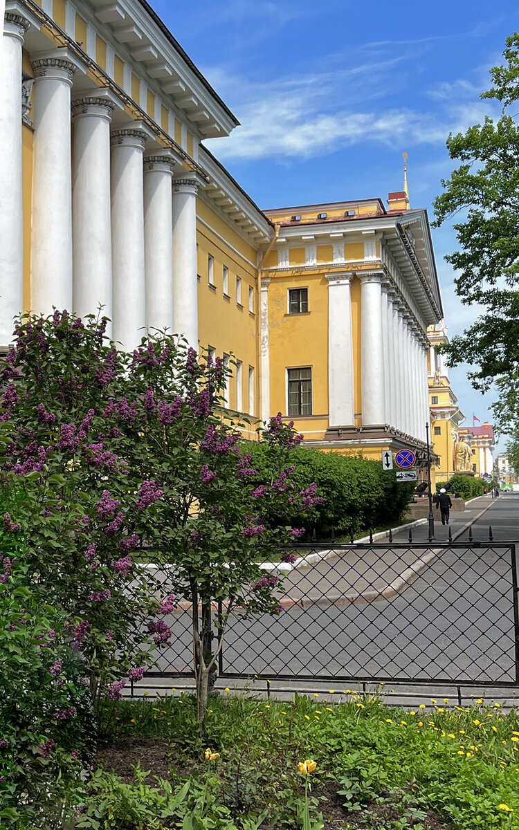 Прогулка по Неве в самом центре Санкт-Петербурга - и всего за 100 рублей! |  Жизнь в кадре | Дзен